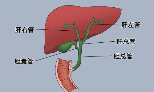 腋下淋巴结核会不会传染-腋下淋巴结结核的症状-专业腋下淋巴结核严重吗平台-腋下淋巴结结核的症状图片